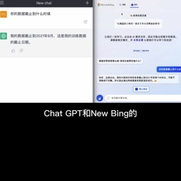 newbing