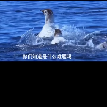 全球气候变暖