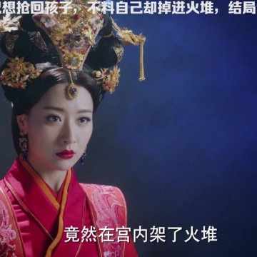 天泪传奇之凤凰无双