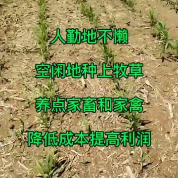 聚焦三农服务三农
