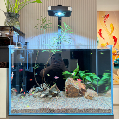 养鱼爱好者交流群🐠 群聊头像