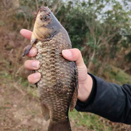 探钓小分队🎣 群聊头像