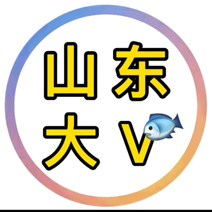 山东大V3群 群聊头像