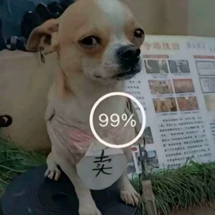 全国车友群🐯 群聊头像