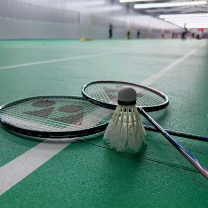 合肥羽球人部落🏸 群聊头像