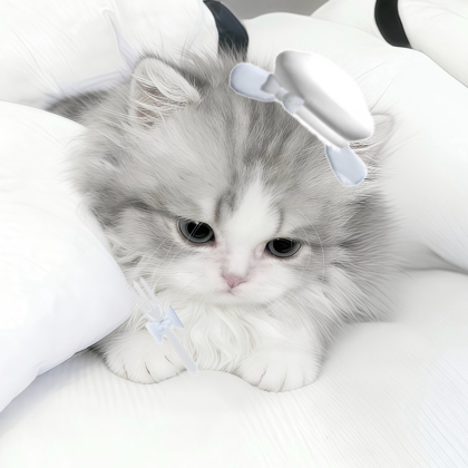ˊᵒ̴̶̷̤ꇴᵒ̴̶̷̤ˋ  群聊头像