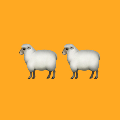 79年羊🐑🐑群 群聊头像