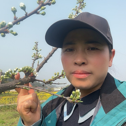 巧儿种植技术2 群聊头像