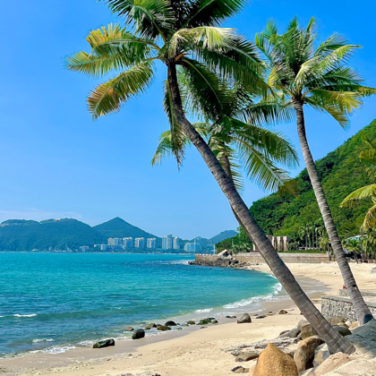 上海退休跟团旅游群 群聊头像