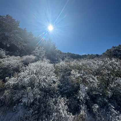 临安雪景真的太美❄️ 群聊头像
