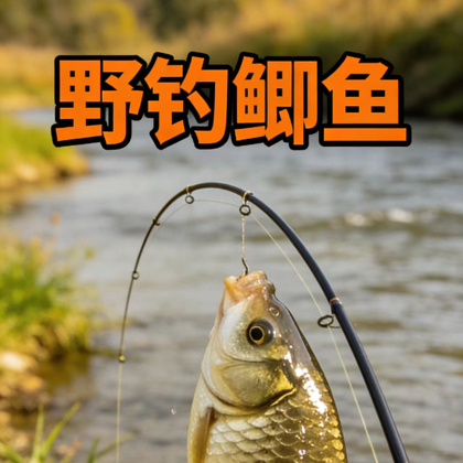 野钓！夜钓！交流群！ 群聊头像