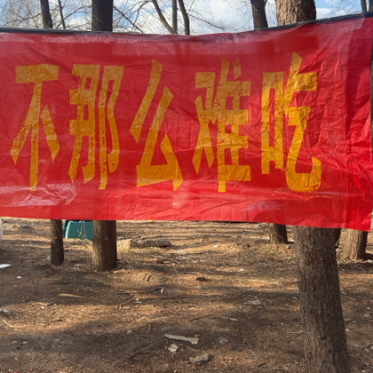 我和长春财经的伙伴们 群聊头像