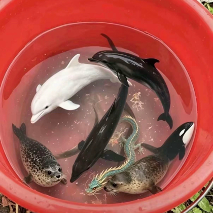 星河休闲垂钓 群聊头像