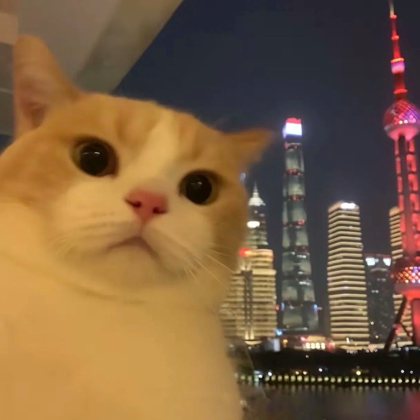摄影大佬培育所 群聊头像