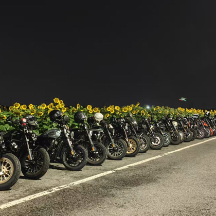 风和自由🏍️骑行【不限车型】 群聊头像