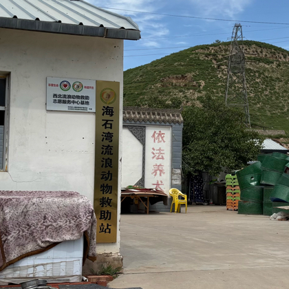 海石湾救助站的小狗狗们要加油哇！ 群聊头像