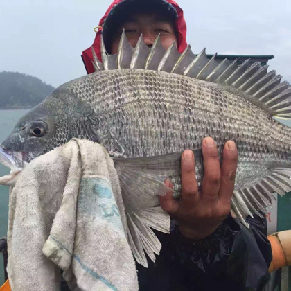宁海赶海俱乐部 群聊头像