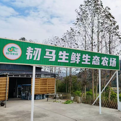 韧马生鲜生态农场3群 群聊头像