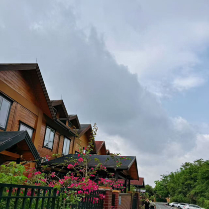 深圳网球搭子群（美女群） 群聊头像