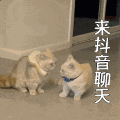 聊天气泡装扮炫耀群 群聊头像
