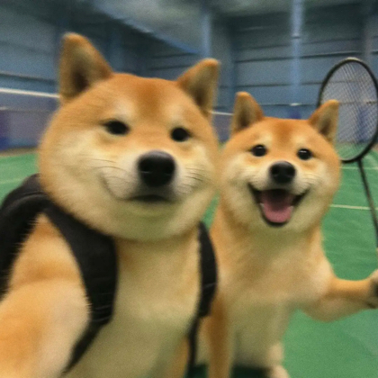 东拼西凑队🏸 群聊头像