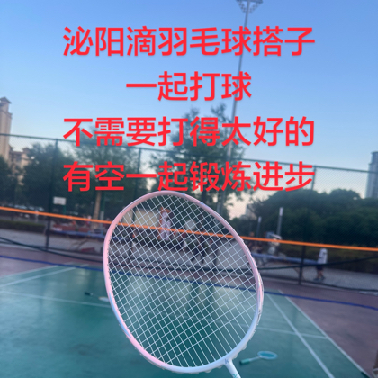 泌阳羽毛球搭子 群聊头像
