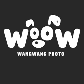 汪汪队开大会 群聊头像