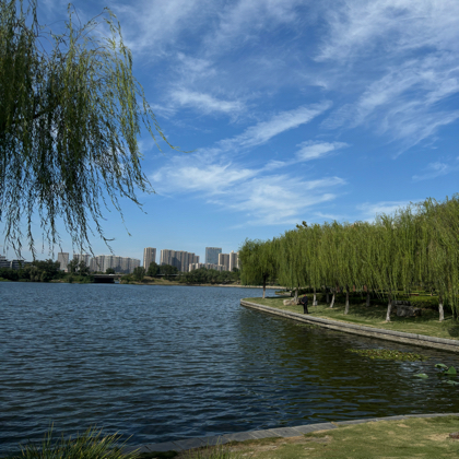 菏泽户外露营群 群聊头像