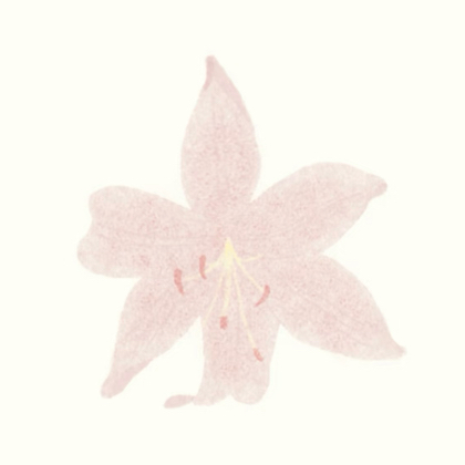 穿搭分享群🩶 群聊头像