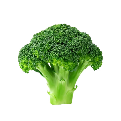 减肥搭子🥦 群聊头像