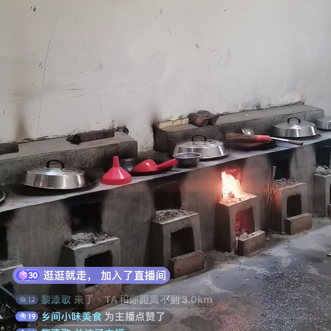 时光小院正宗劈柴炖鸡会员群 群聊头像