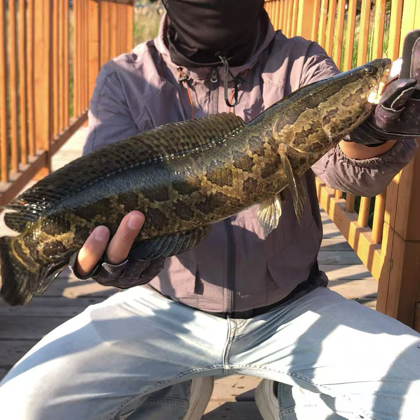 巨野雷强大队🎣 群聊头像