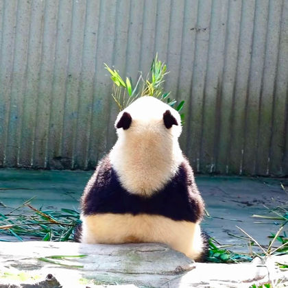 修身养性 群聊头像