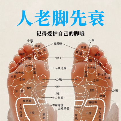轻运动八段锦粉丝福利群 群聊头像