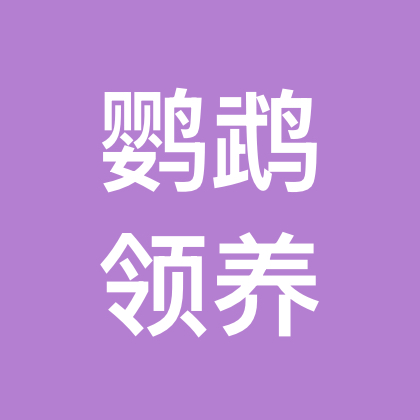 广东鹦鹉领养群 群聊头像