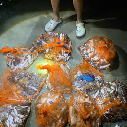 北海真实赶海 群聊头像