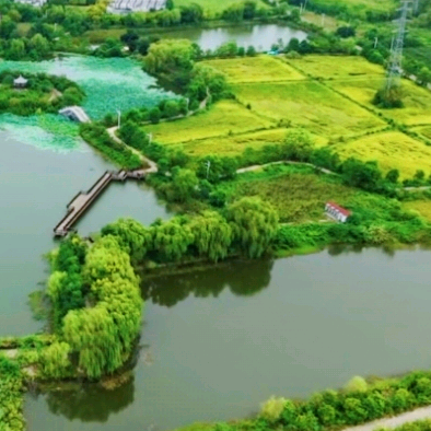 进群聊鱼情！聊钓鱼🎣 群聊头像