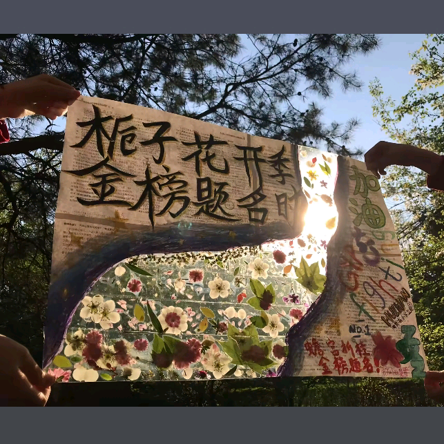 2025届初中毕业生 群聊头像