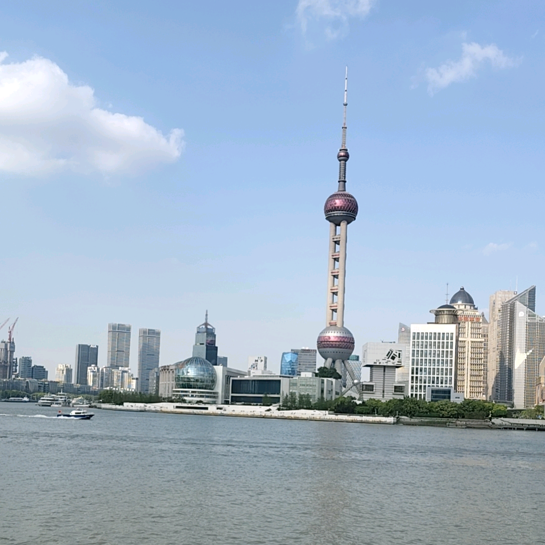 1981年青春的回忆 群聊头像