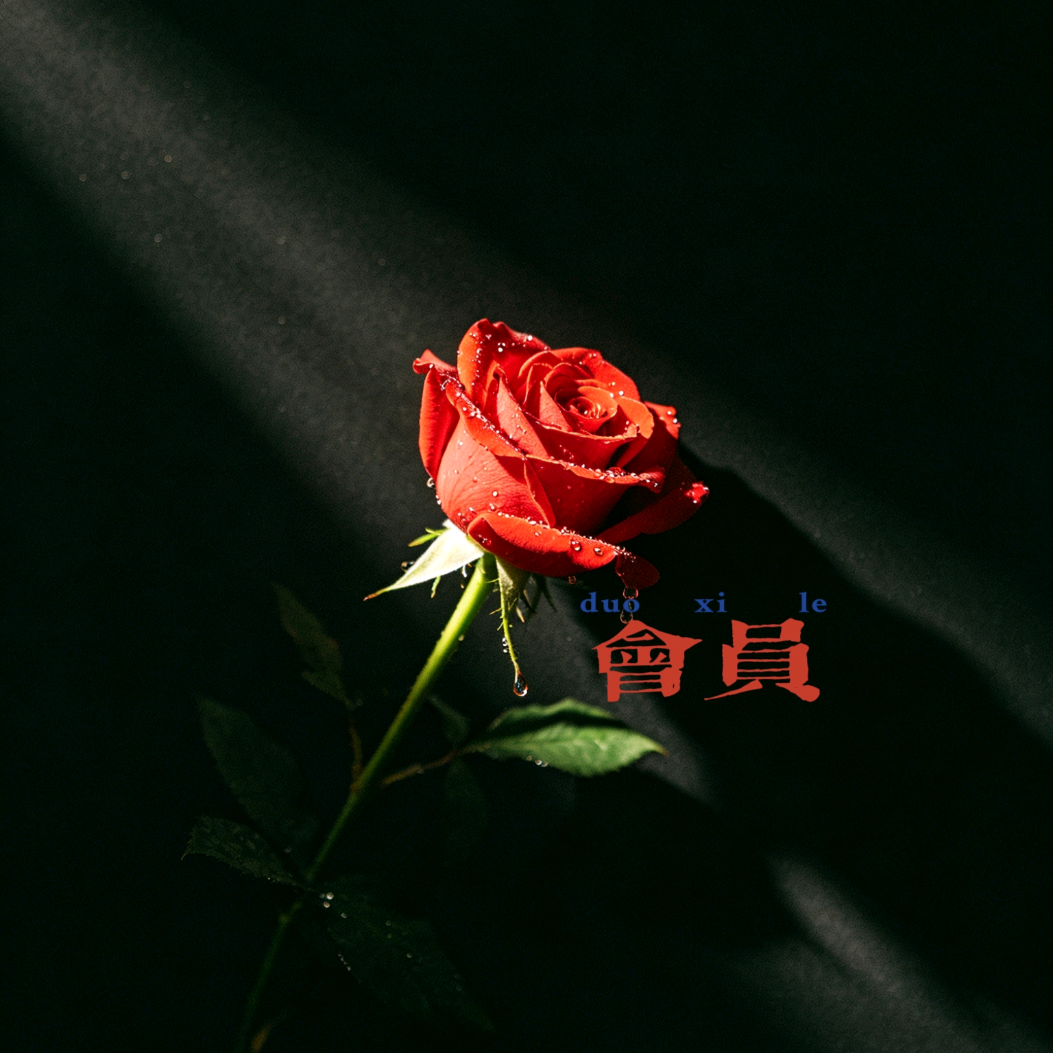 留白_交易认知会员群 群聊头像
