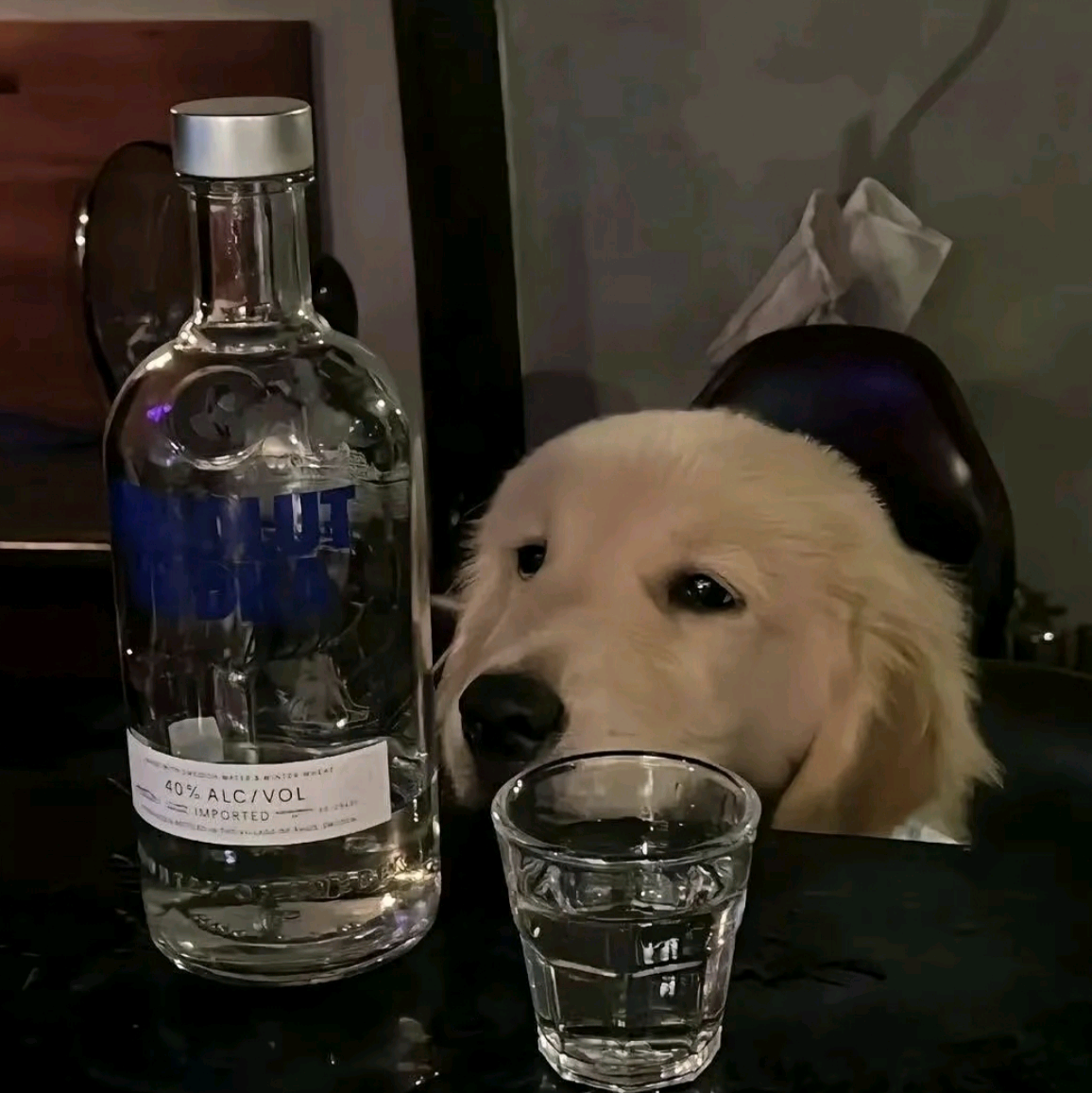 散落各地的酒搭子🍹 群聊头像