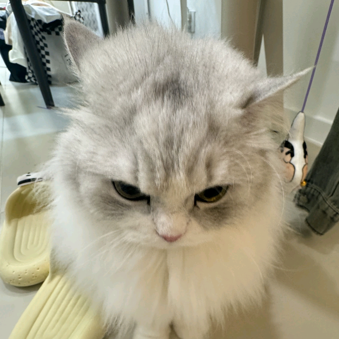 图 群聊头像