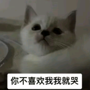 洛克王国：世界 群聊头像