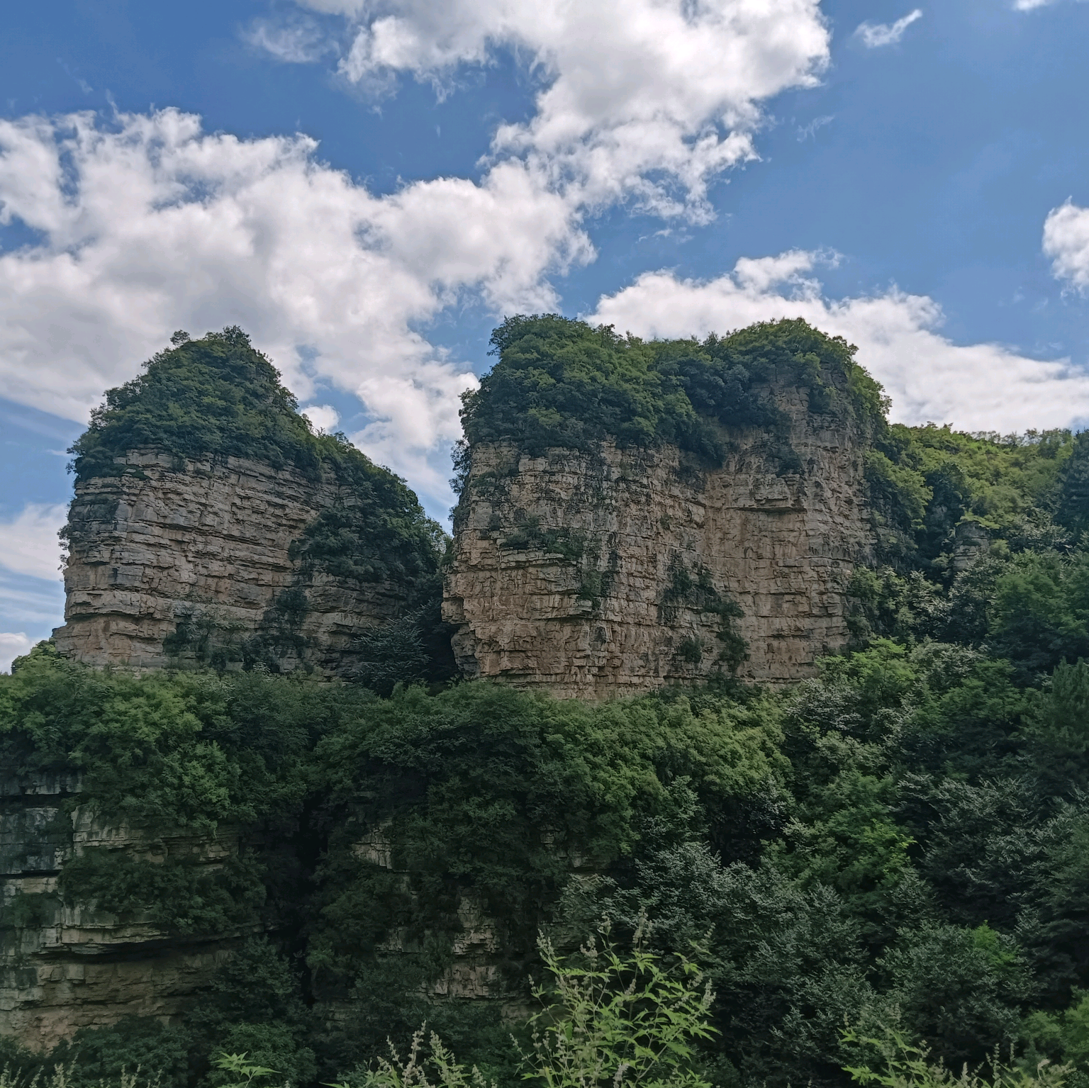 保定附近 群聊头像