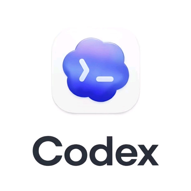 codex 中转群交流群 群聊头像