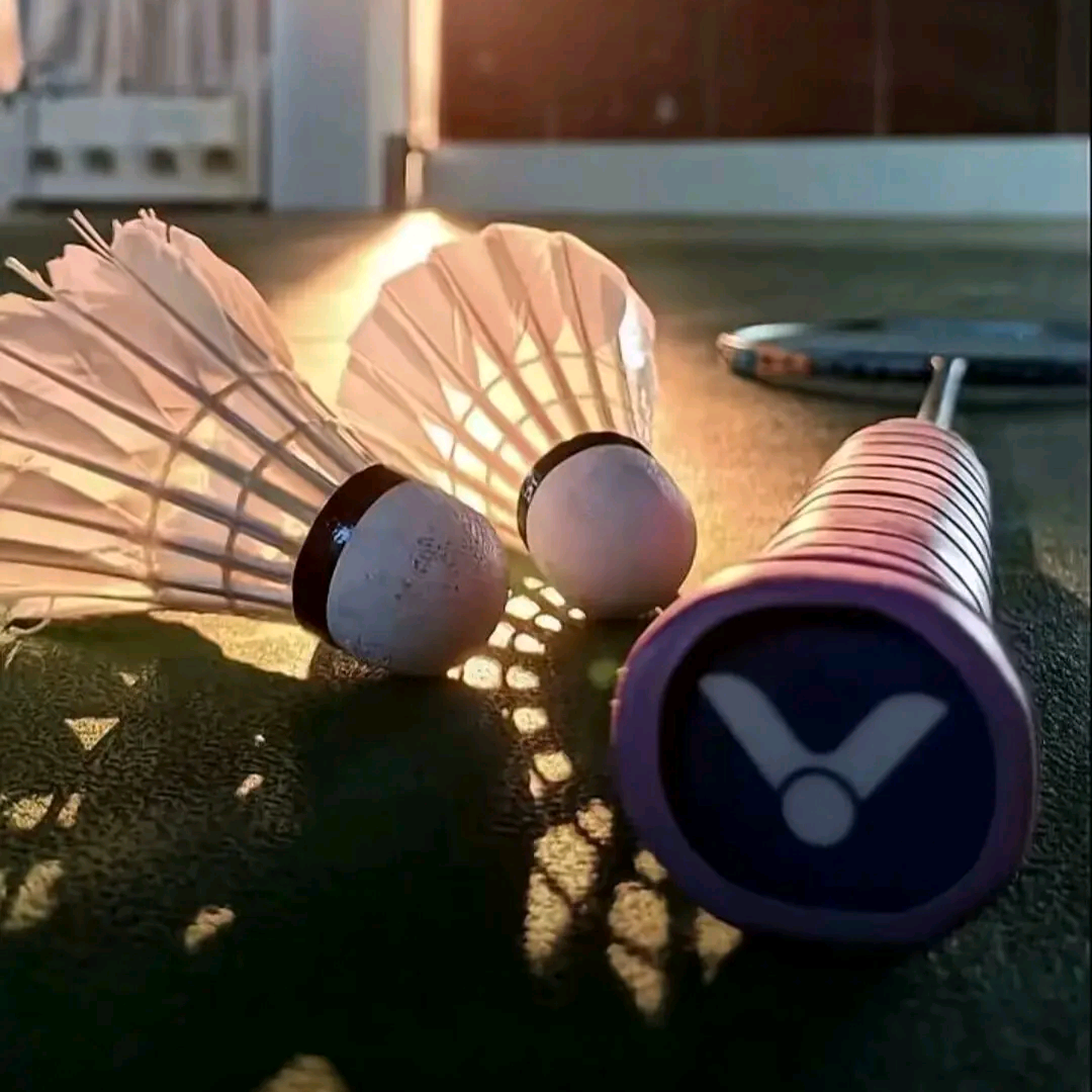 羽毛球🏸交流群 群聊头像