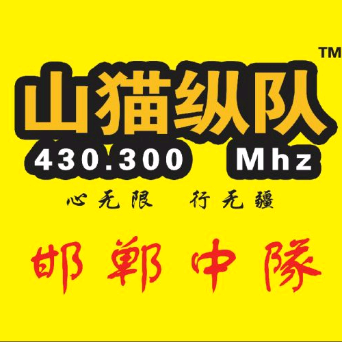 山猫纵队邯郸中队 群聊头像