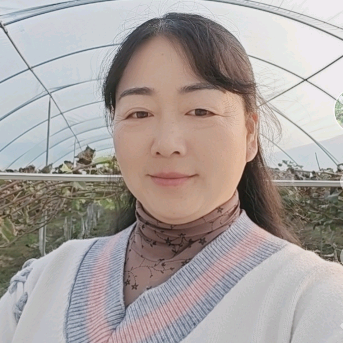 本命年腊月25 群聊头像