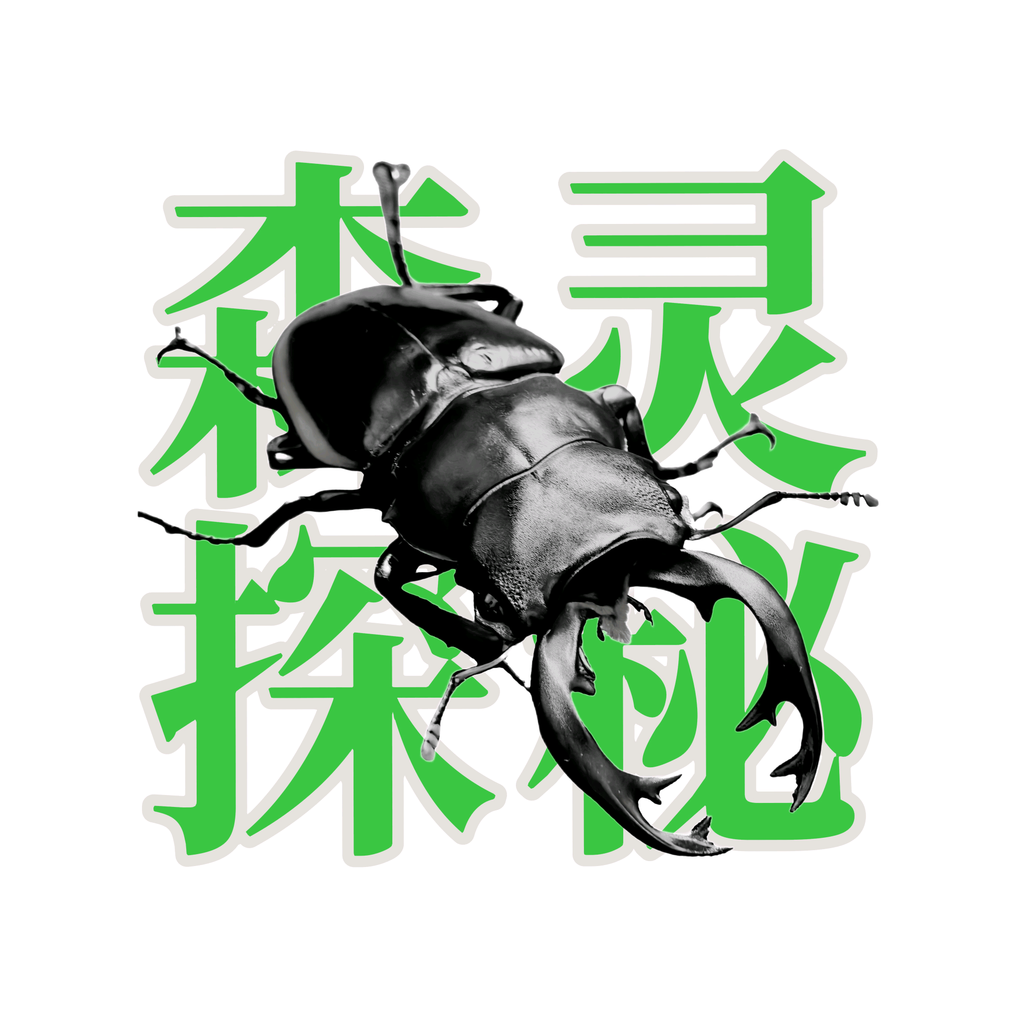 森灵探秘自然探索群 群聊头像