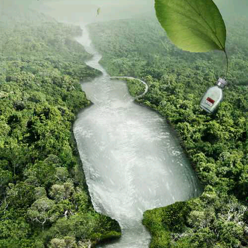 音乐分享。 群聊头像